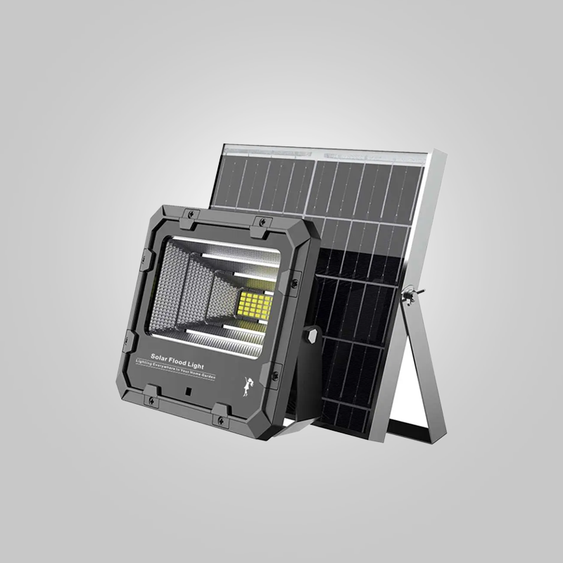 KIT PROJECTEUR SOLAIRE100W AVEC PV SOLAIRE